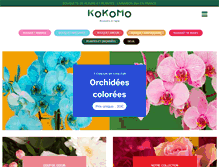 Tablet Screenshot of kokomo.fr